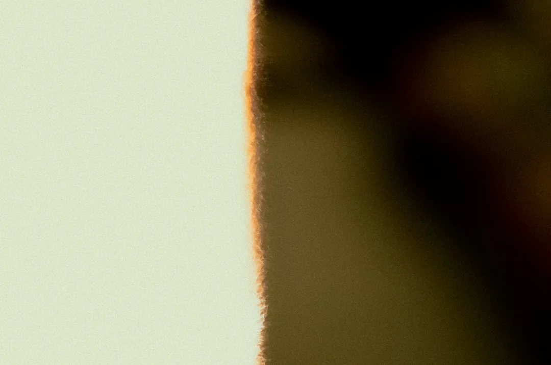 Un año después del hallazgo en el Rancho Izaguirre: un centro de reclutamiento y exterminio del CJNG