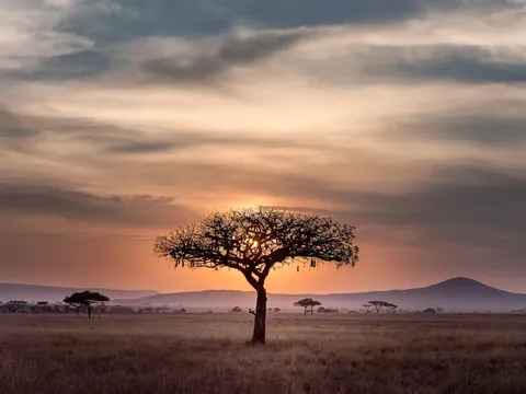 Crisis de xenofobia en Sudáfrica: Olas de violencia y su contexto socioeconómico