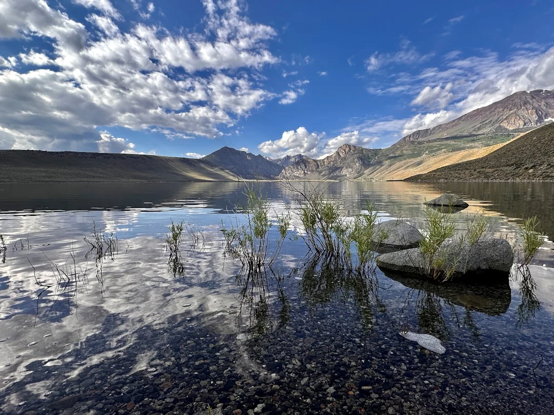 Las 'Mères Lyonnaises': Mujeres Detrás de la Gastronomía de Lyon