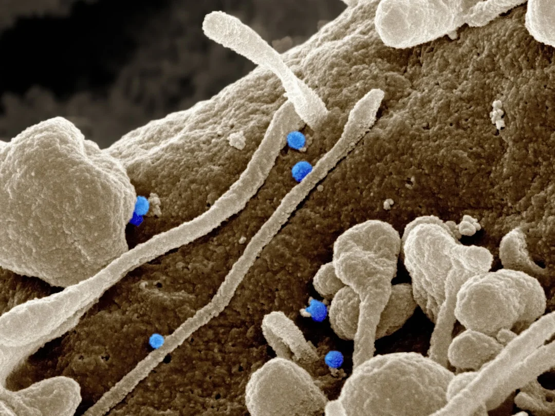 El Modelo de Energía Microhidroeléctrica en República Dominicana: Desarrollo Sostenible y Empoderamiento Comunitario