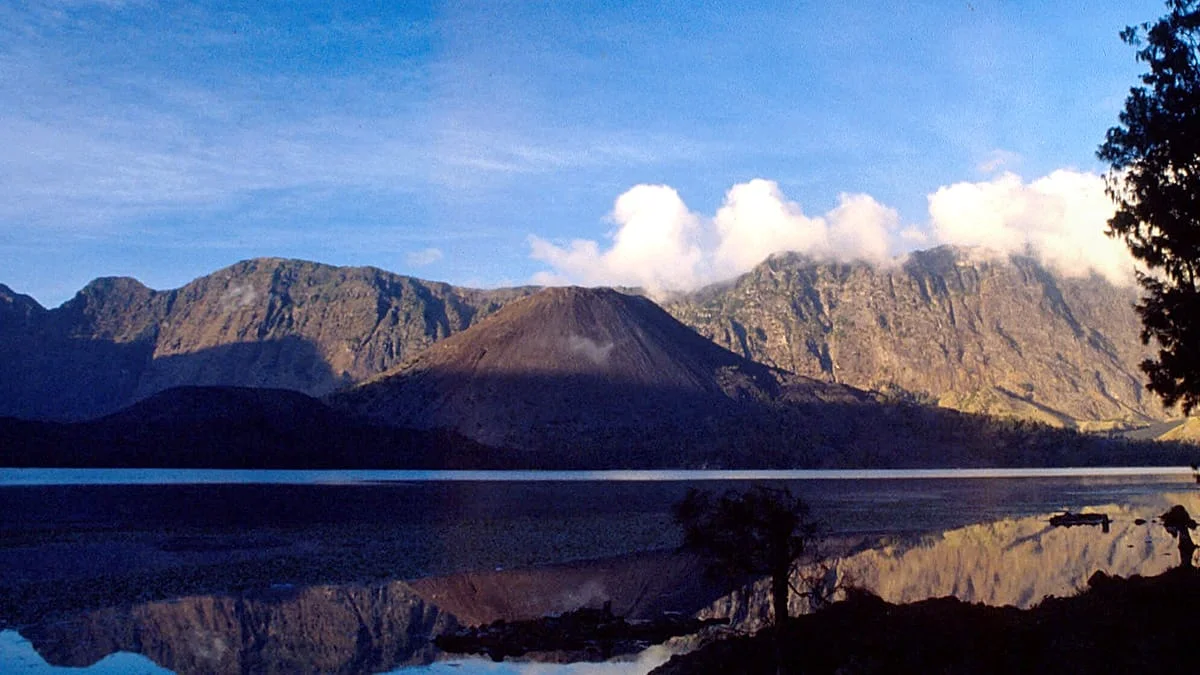 Condena a 18 Años de Cárcel para los Asesinos de Matilde Muñoz en Indonesia