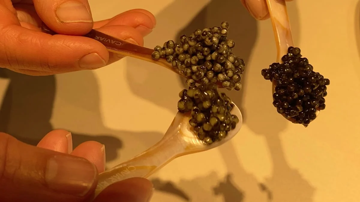 El Primer Caviar Ecológico del Mundo: Un Manjar que Conquista Mercados Internacionales