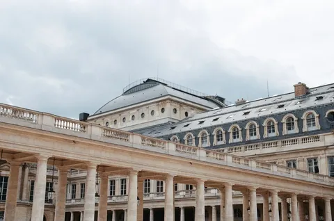 Un hospital cerca de París ayuda a animales silvestres heridos