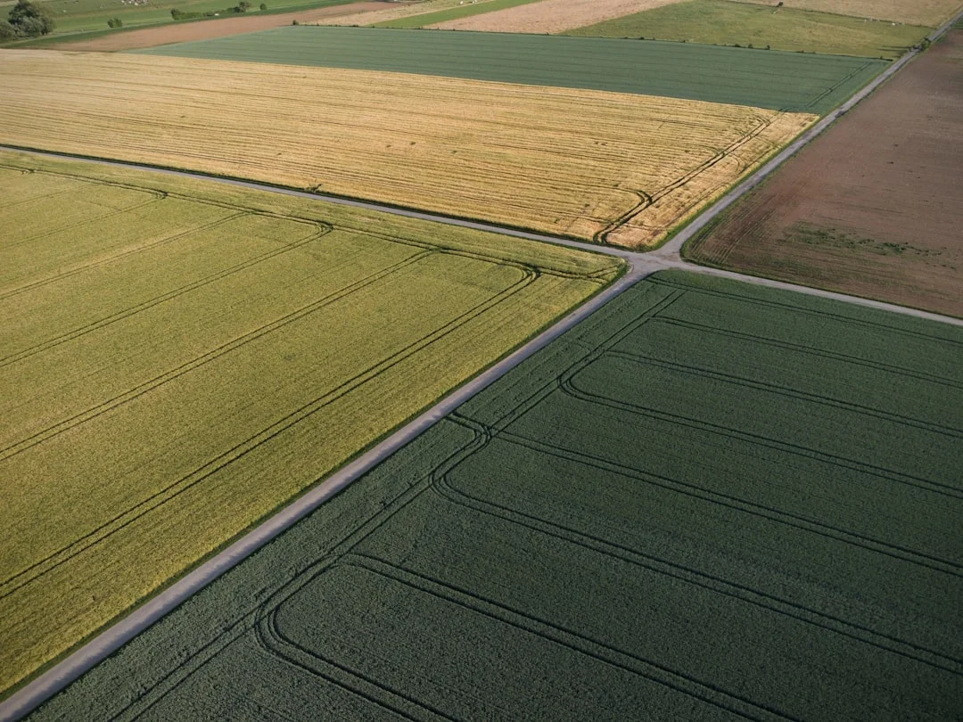 La Agricultura Regenerativa en Europa: Resiliencia frente a la Guerra en Irán