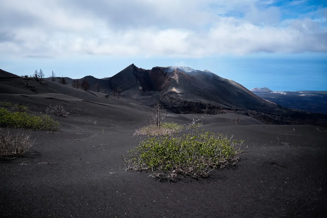 Resultados de la Prohibición de Celulares en las Escuelas Neerlandesas