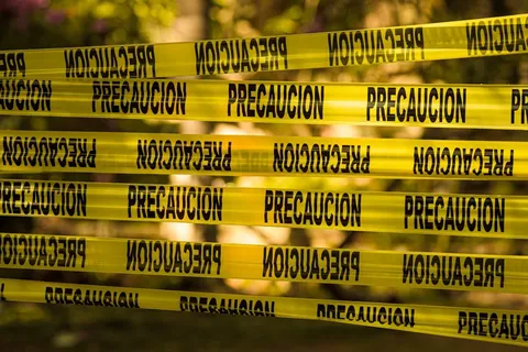 Solución Local ante una Amenaza Global: La Iniciativa de Baviera en la Caza de Drones