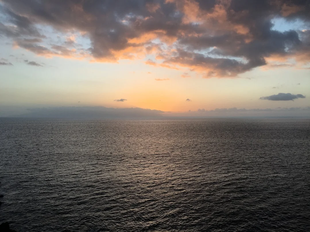 Guía de chocolate belga: una delicia para Semana Santa