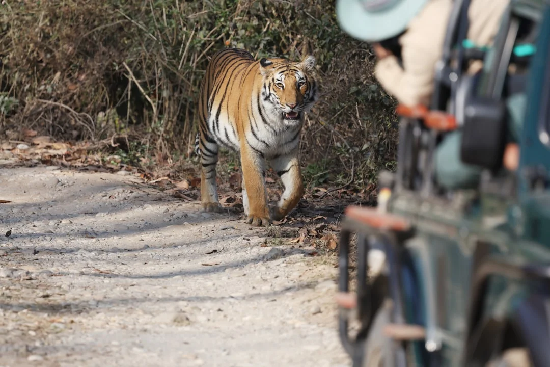 Tiger Woods Arrestado Tras Accidente en Florida