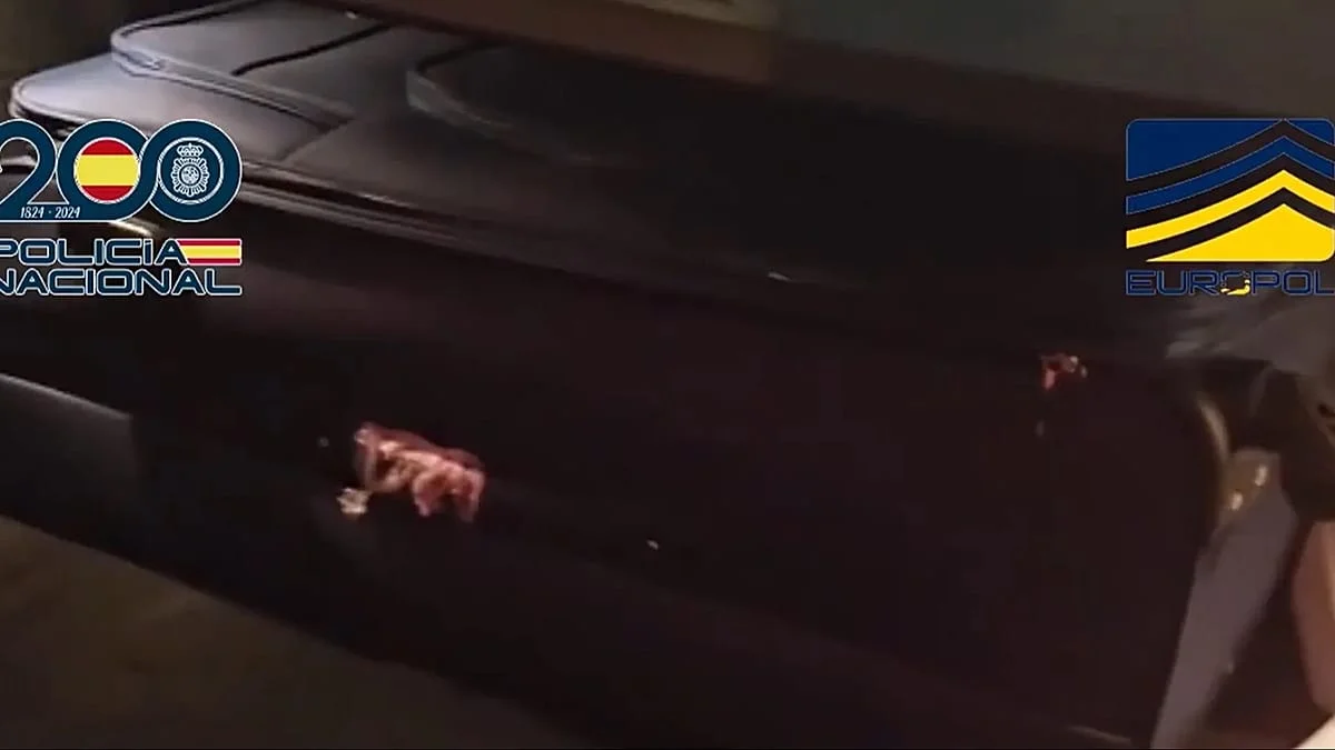 Desmantelamiento de una Red de Narcotráfico en España