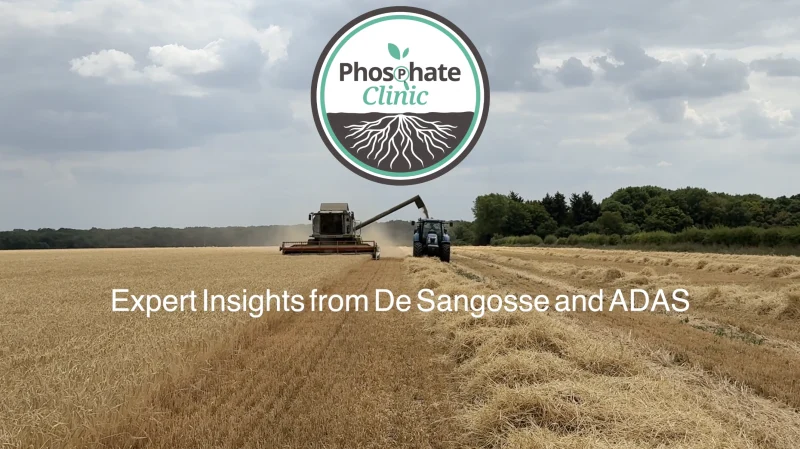 Episode 1 of The Phosphate Clinic