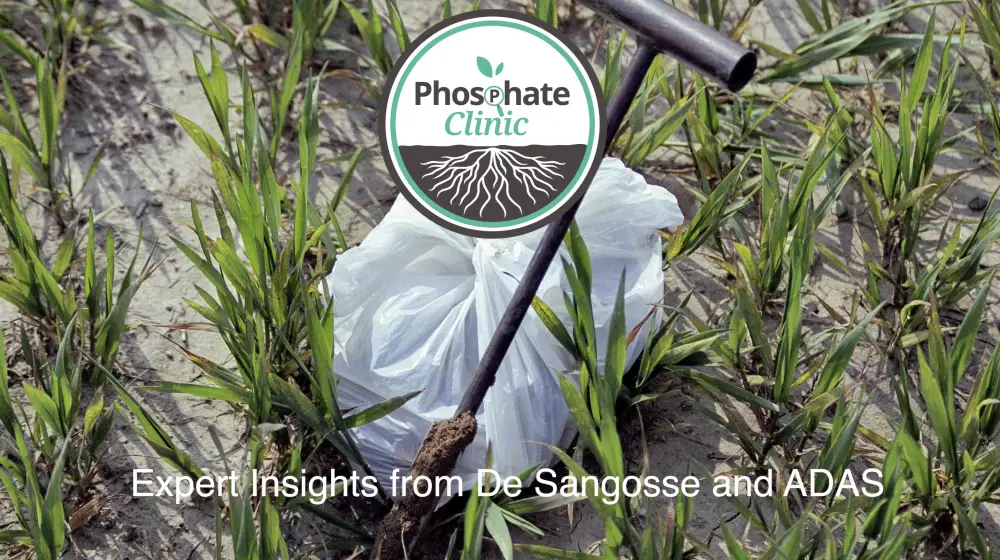 Episode 3 of The Phosphate Clinic