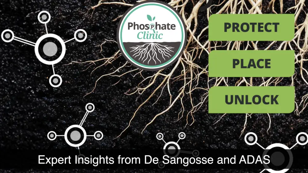 Episode 4 of The Phosphate Clinic