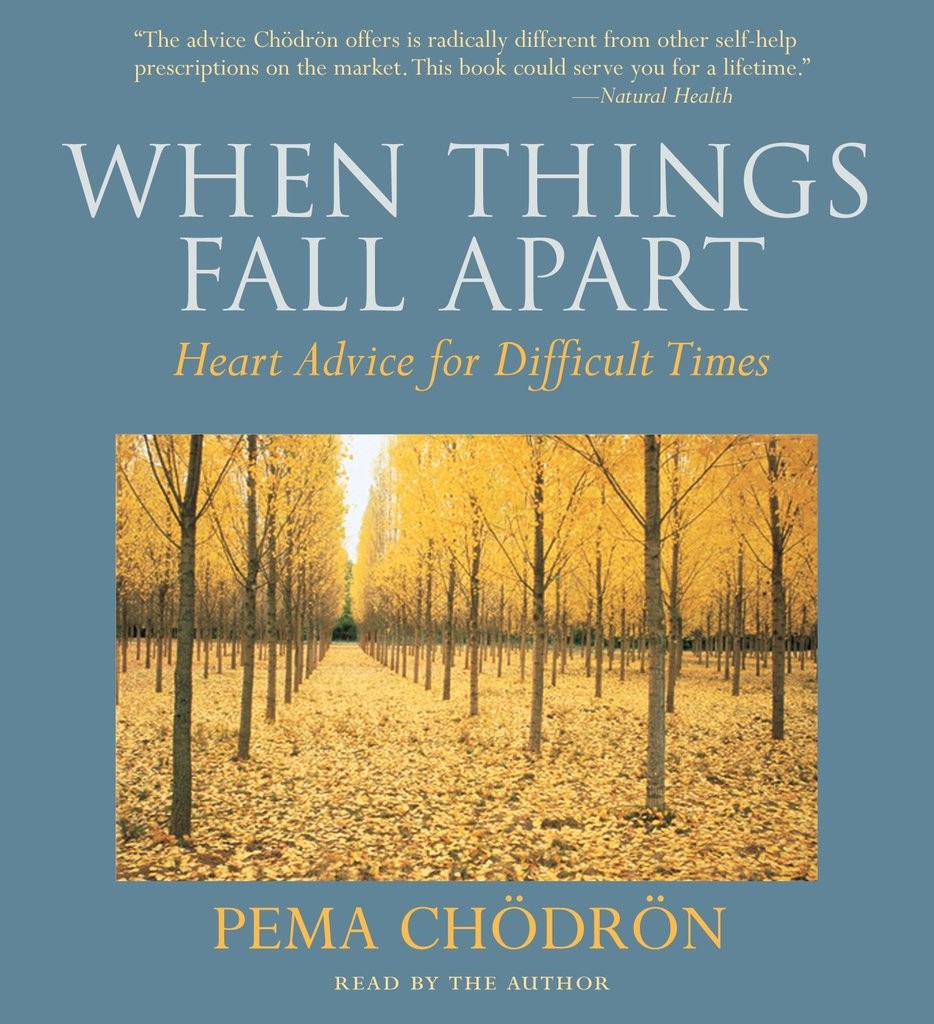 Book Review: “When Things Fall Apart” by Solo Mom, Pema Chödrön