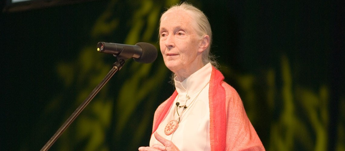 Jane Goodall: Compassion and Perseverance | ESME