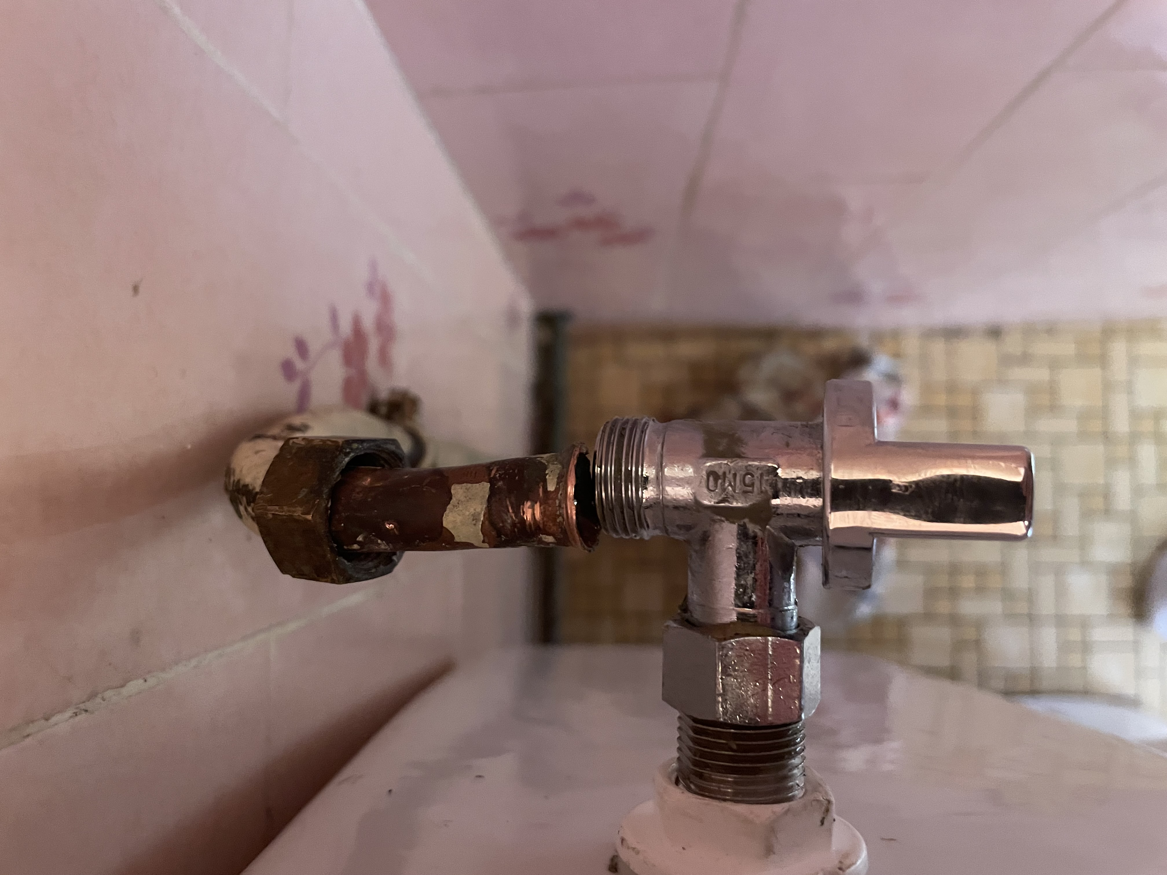 Intervention Fuite d'eau WC – Germigny-sur-loire