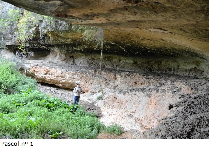 Coves del Pascol: Conjunt de tres petites cavitats a Castellví de la Marca foto Coves del Pascol