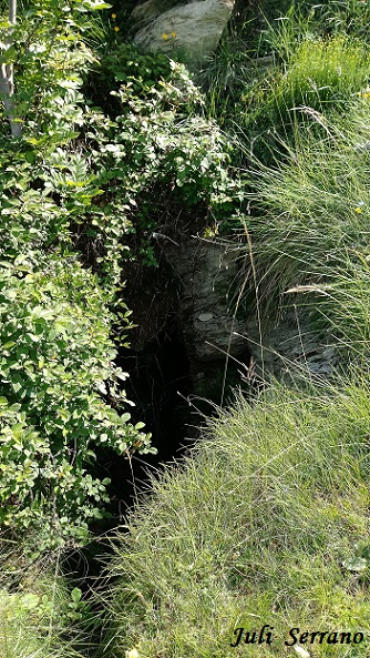 Forat del Puig de les Bruixes: Avenc de 39 metres de desnivell al municipi de Montagut i Oix foto Forat del Puig de les Bruixes