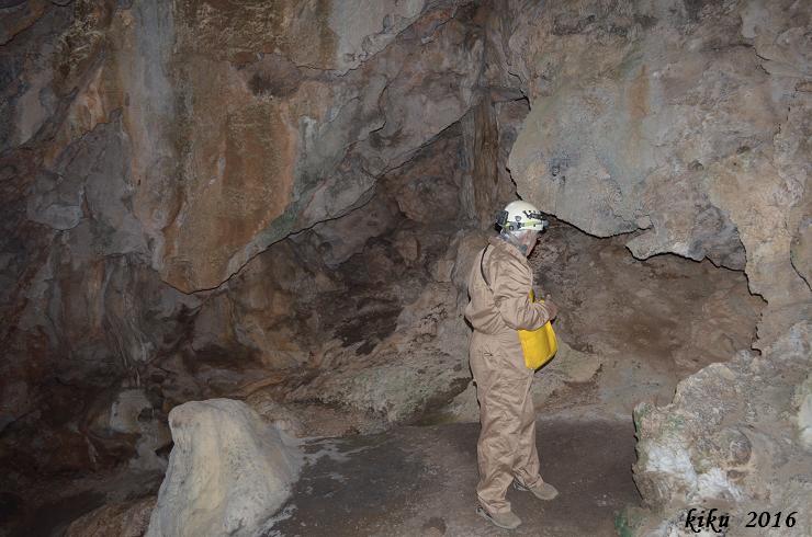 Cova del Manyé: Cova de 90 metres de recorregut a la Bisbal del Penedès. foto Cova del Manyé