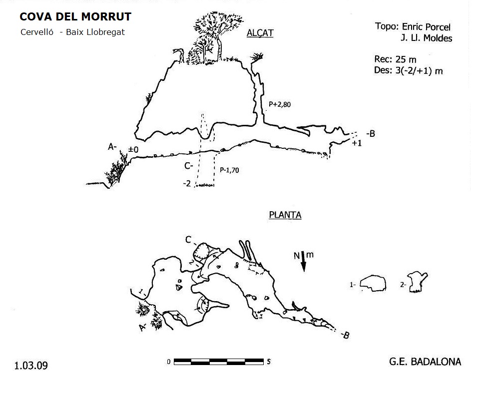 Cova del Morrut: Petita cova de 25 metres de recorregut al municipi de Cervelló. topo Cova del Morrut