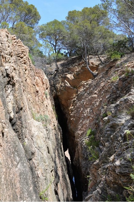 Sa Roncadora: Cova marina de 63 m. de recorregut a Palafrugell foto Sa Roncadora