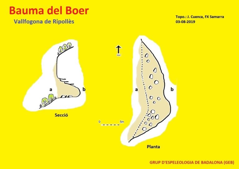 topo 0: Bauma del Boer