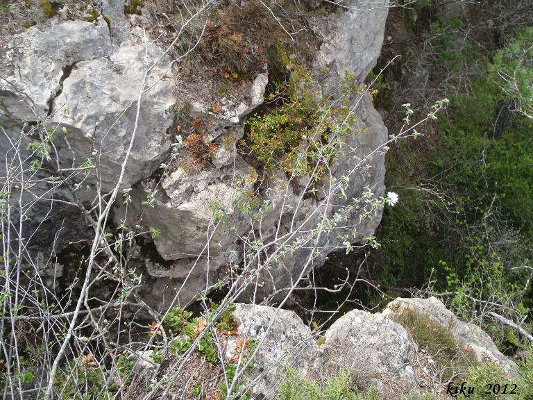 foto 2: Avenc de la Roca del Migdia Nº1