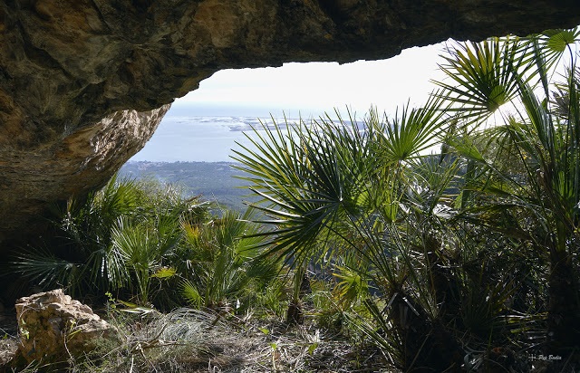 foto 2: Cova de la Punta de la Barqueta