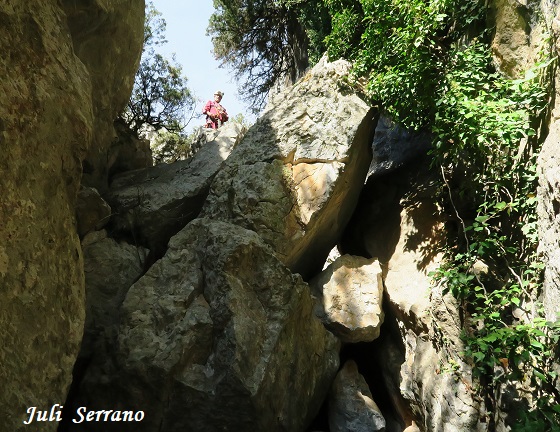 foto 6: Esquerdes de l'Isaac