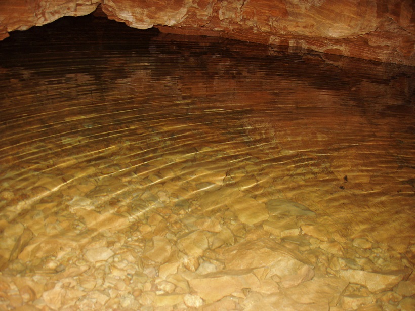 foto 2: Surgència del Molinet