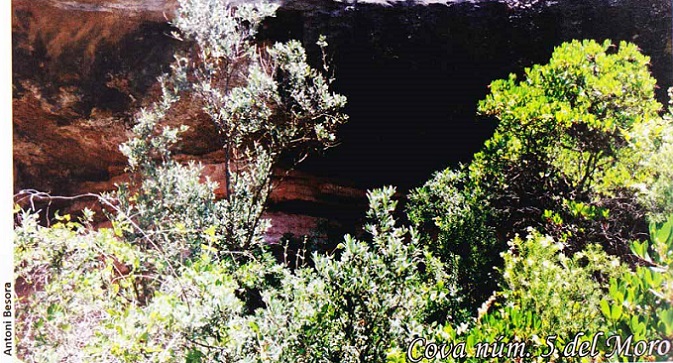 foto 0: Cova Nº5 del Moro