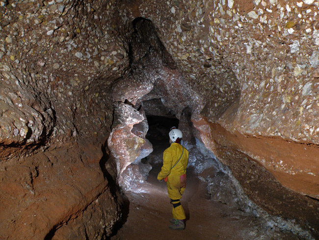 foto 6: Coves de Mura