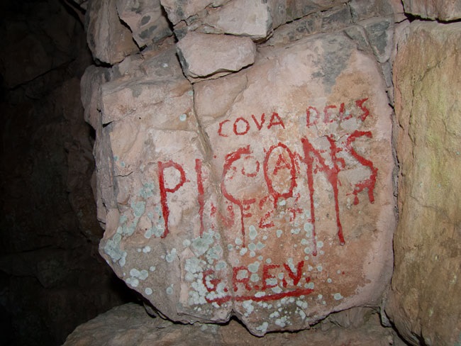 foto 1: Cova dels Picons