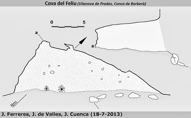 topo 0: Cova del Feliu