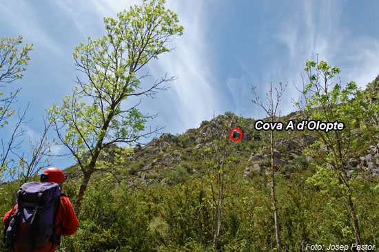 foto 0: Cova Gran d'Olopte