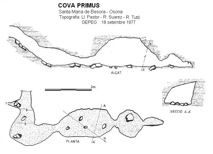 topo 0: Cova Primus