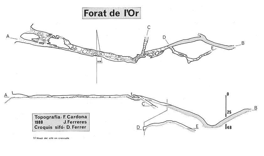 topo 11: Forat de l'Or