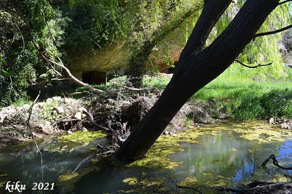 foto 1: Balma dels Foresos