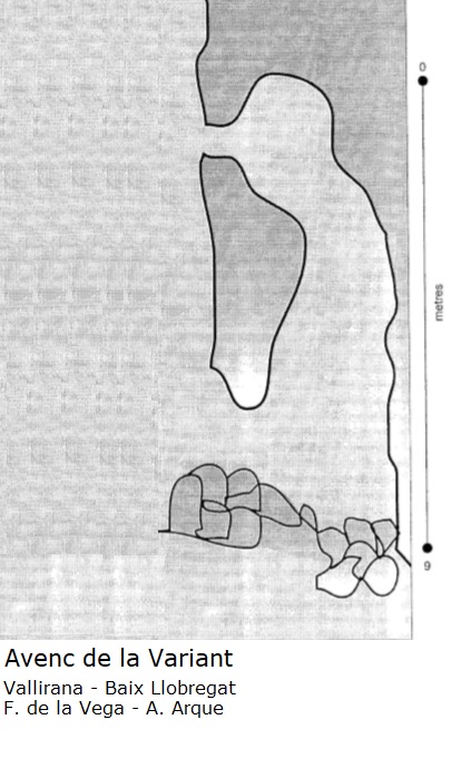 topo 0: Avenc de la Variant