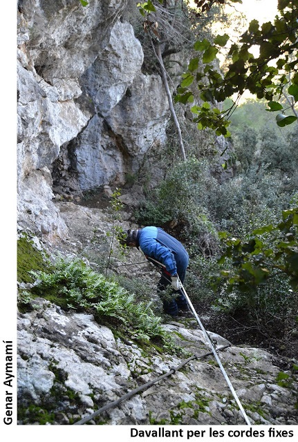 foto 0: Coves dels Bous