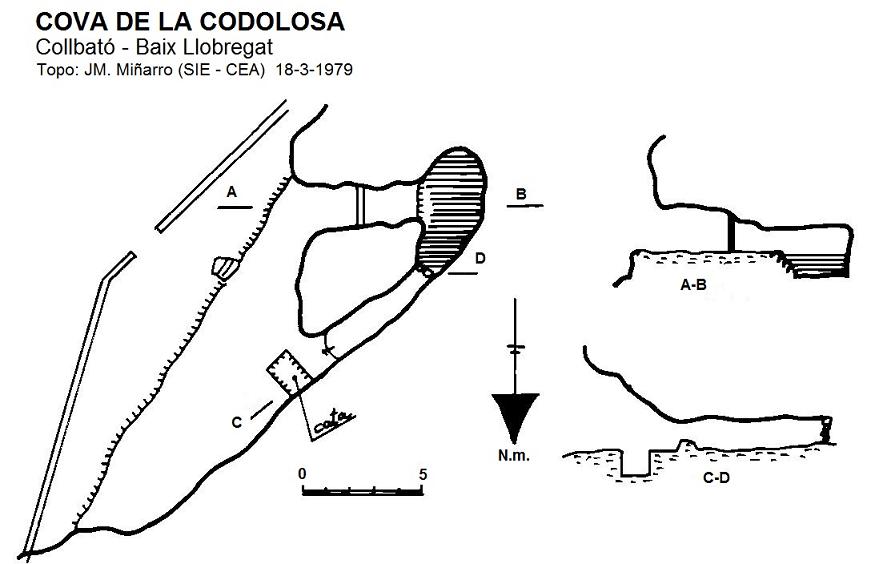 topo 0: Cova de la Codolosa