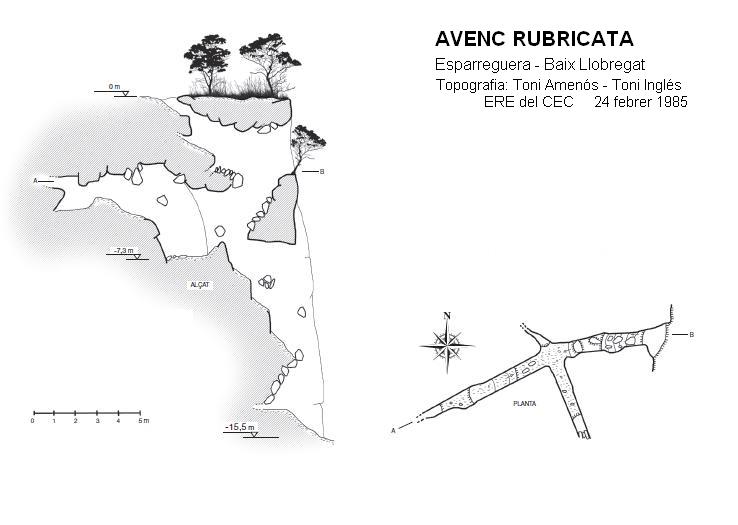 topo 0: Avenc Rubricata