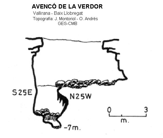 topo 1: Avencó de la Verdor