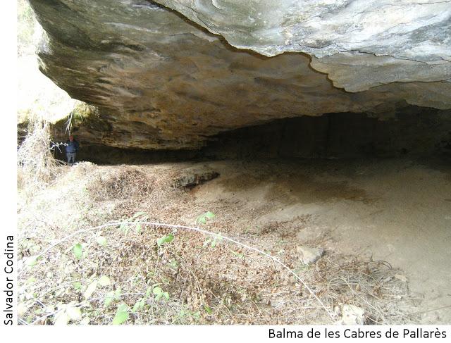 foto 1: Balma de les Cabres de Pallarès