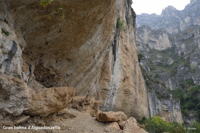 foto 4: Coves d'Aiguadonzella