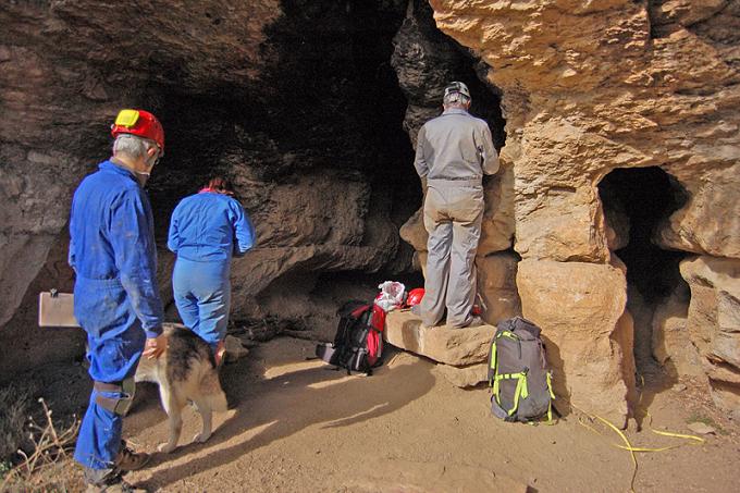 foto 0: les Cuines de Rocaguinarda