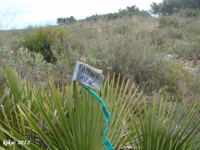 foto 0: Avenc de la Palma