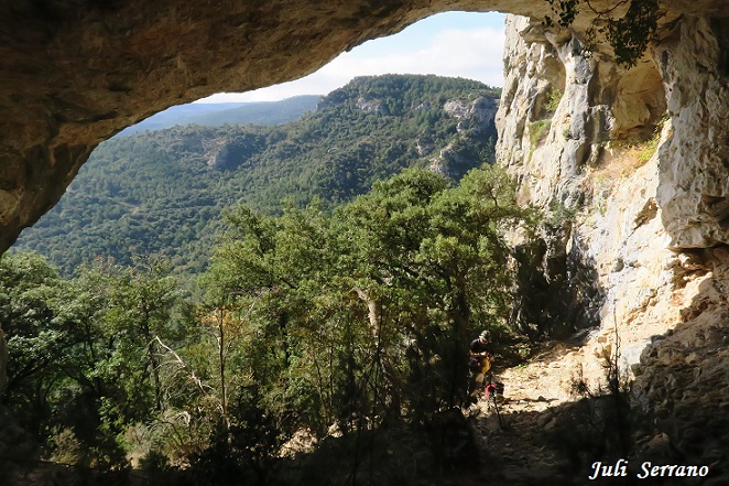 foto 5: Cova del Cingle de l'abellera