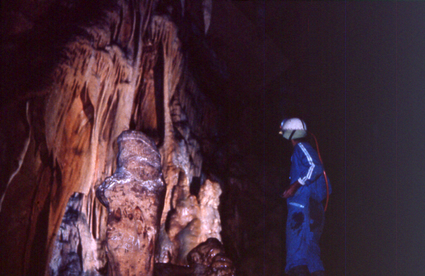 foto 4: Cova Negra de Corçà