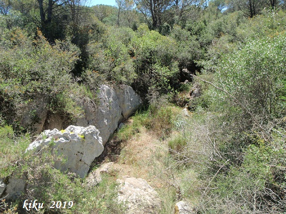 foto 0: Cova d'en Joan Falgàs