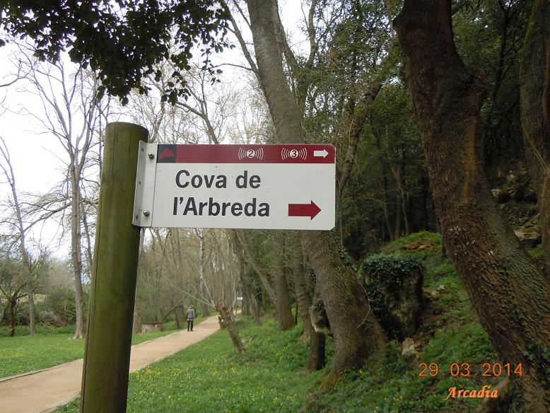 foto 0: Cova de l'Arbreda